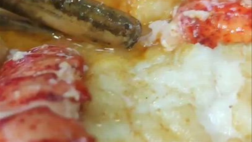Caldereta de Bogavante y Rape