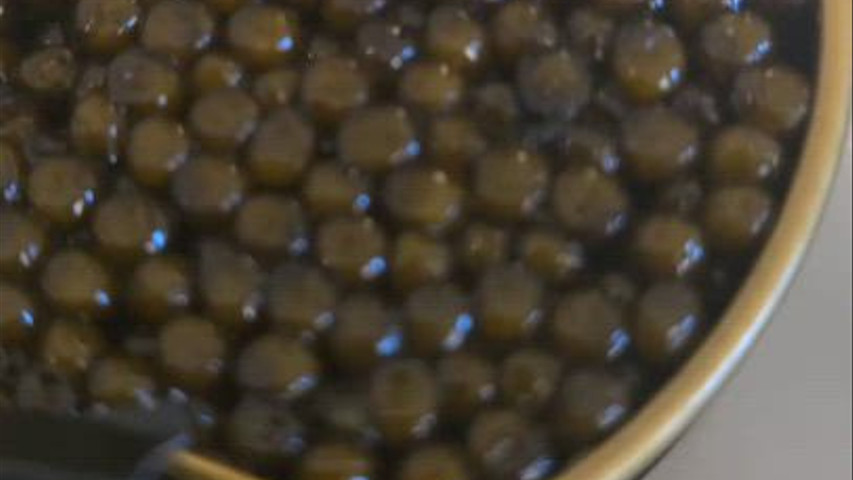 Caviar Experience 