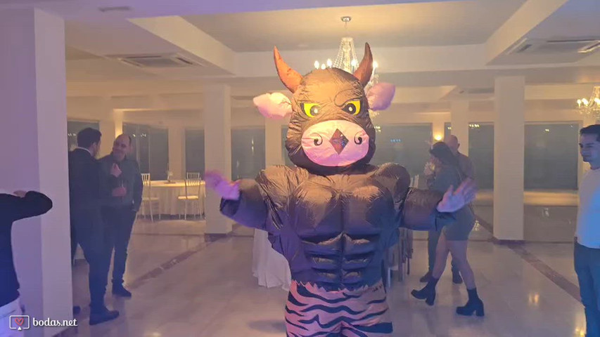 Agencia de eventos Navarro