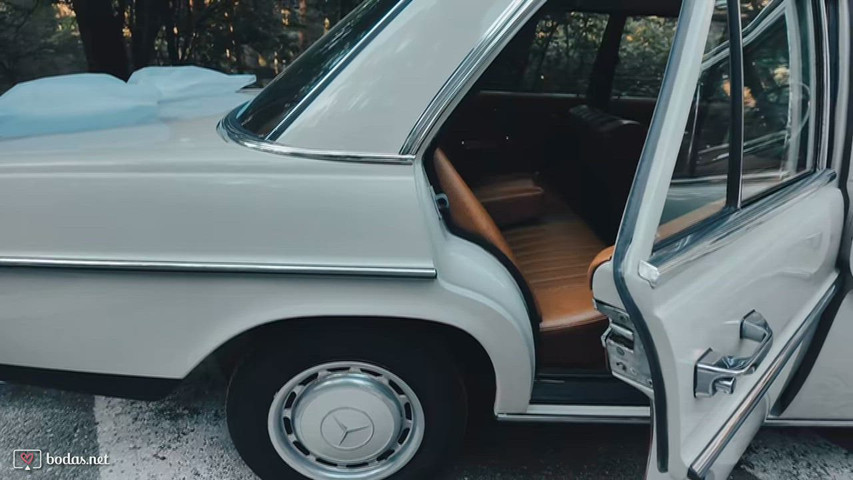 Mercedes Benz Corta