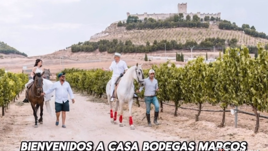 Casa Bodegas Marcos: bodas y eventos en un entorno único 