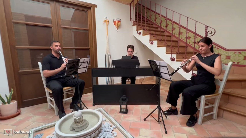 Canon en Re (Pachelbel)