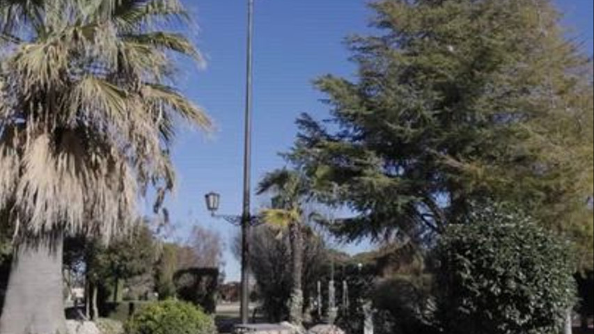 Complejo El Olivar