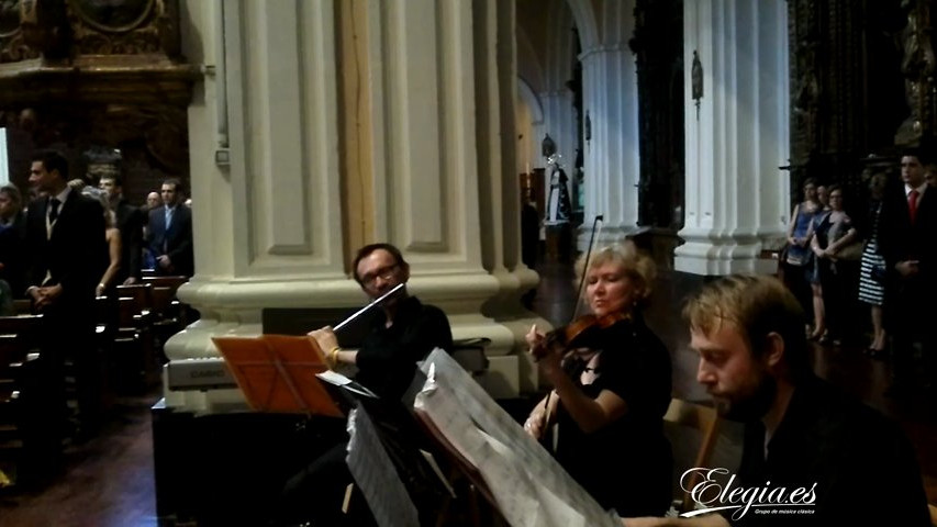 Grupo Elegia para Entrada de los Novios con Canon de J.Pachelbel.