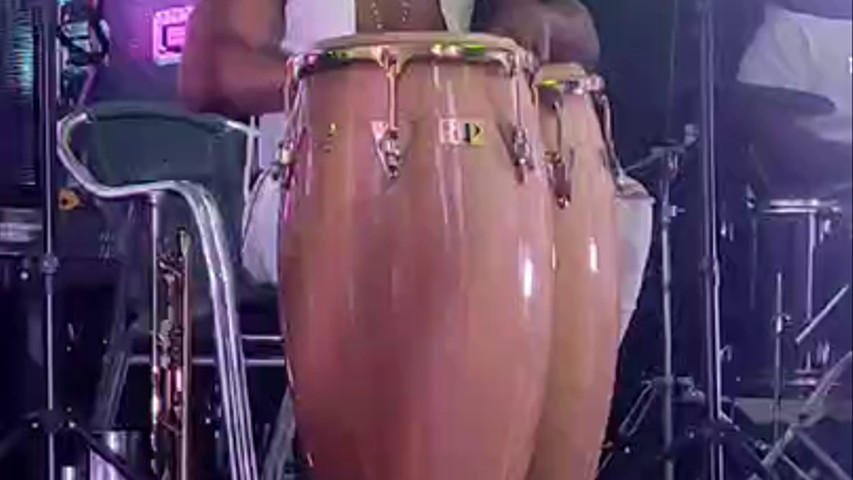 CONGAS 1