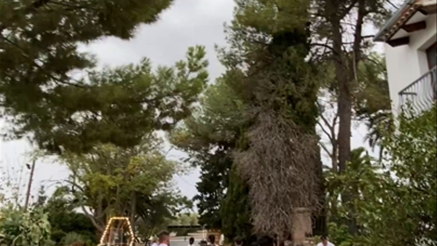Cortijo el Madroño