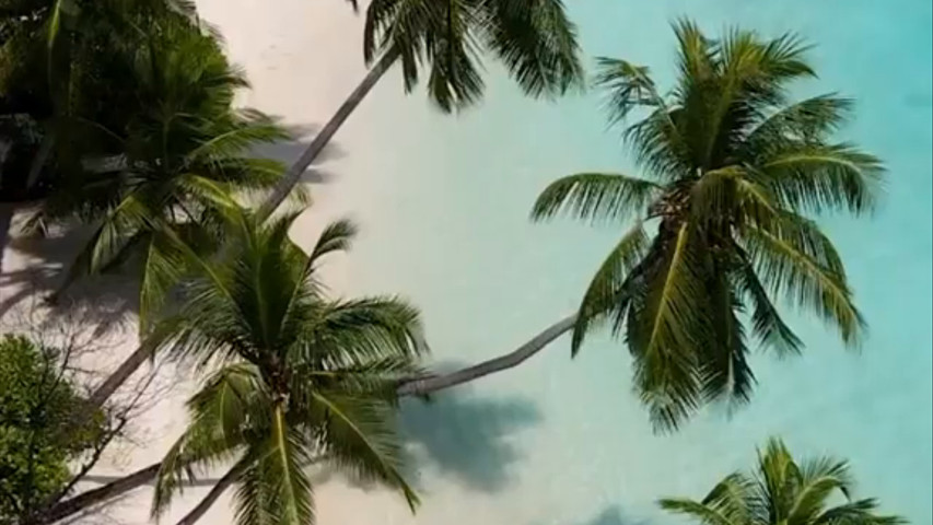 Maldivas... El paraíso
