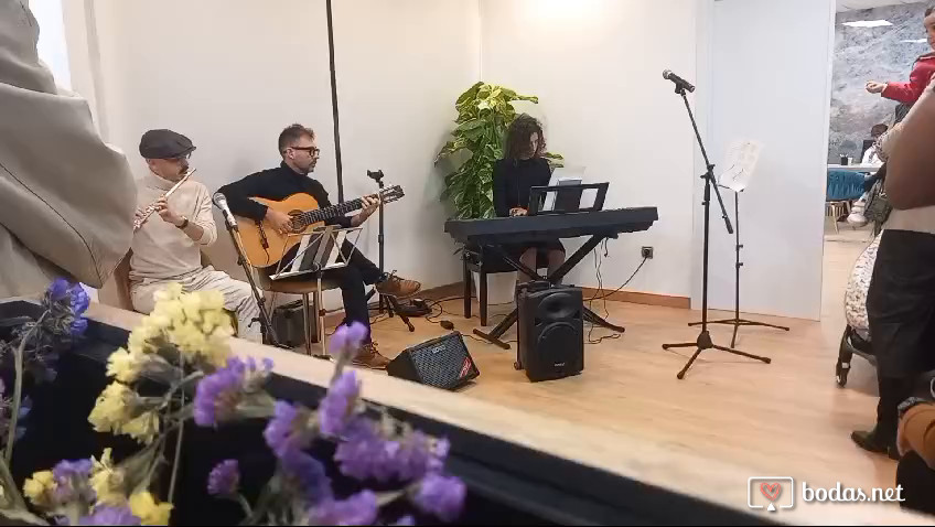 Presentaciones