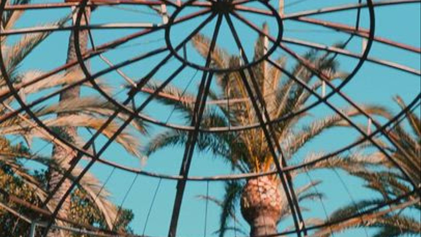 El inicio Del Parque