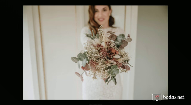 Vídeo de fotos de boda de Elena & Carlos