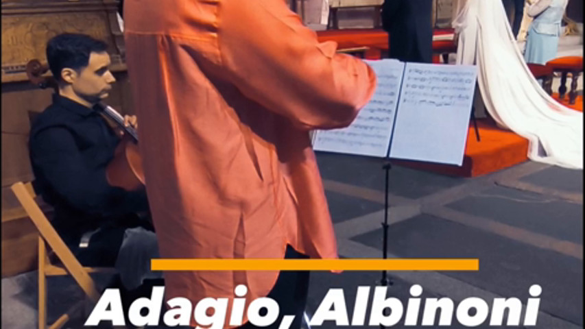 Violin Vibes