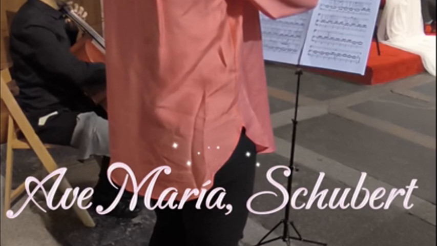 Violin Vibes