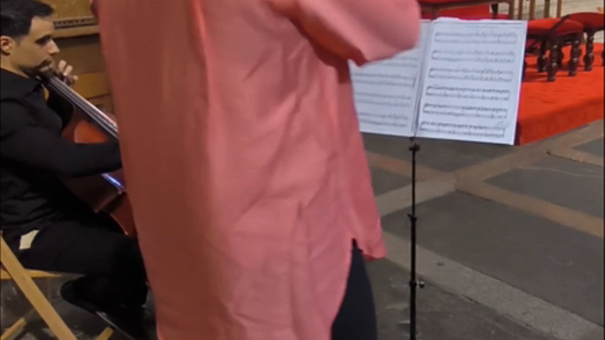 Violin Vibes