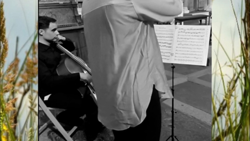 Violin Vibes