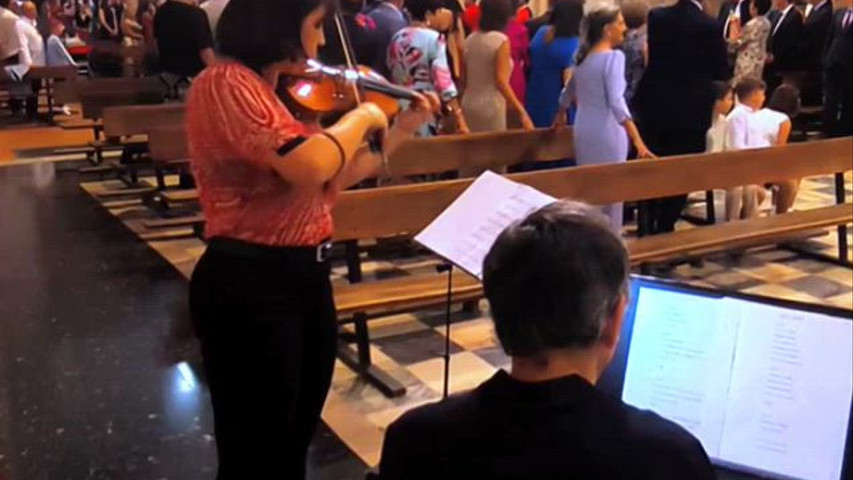 Violín vibes