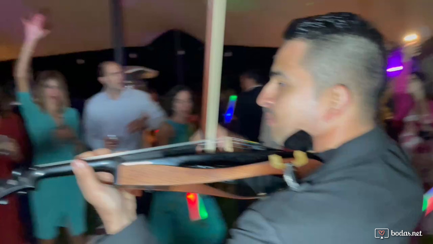 Fiesta de boda