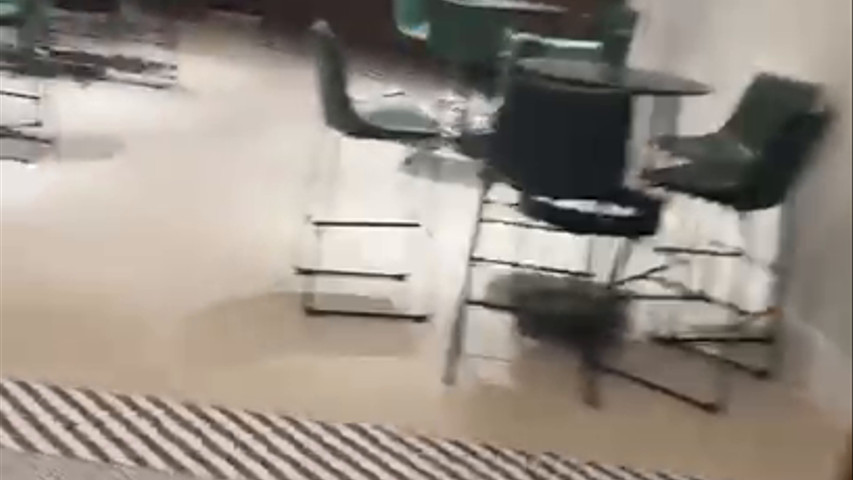 Déjate Enredar