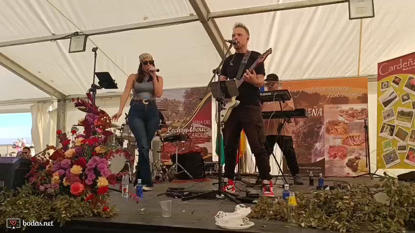 Feria lechon (Cardeña)