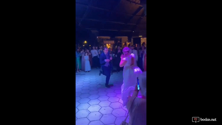 Coreografías animadas 