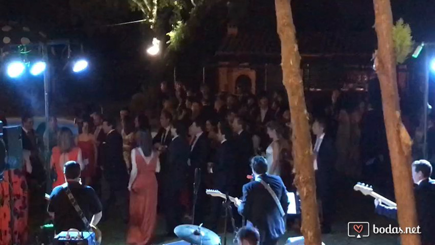 ¡A Bailar!
