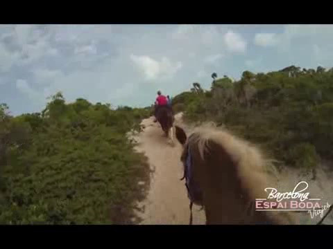 Islas turcas y caicos 