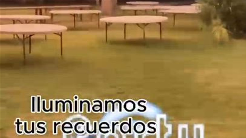 Guirnaldas 2025