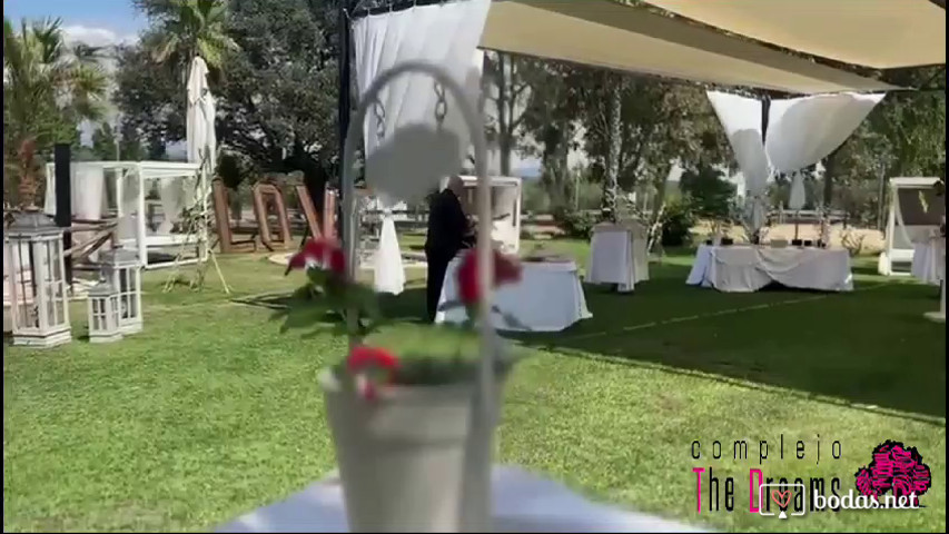 Cóctel de boda