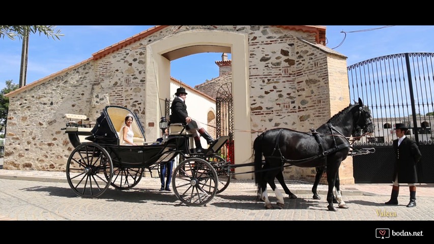 Boda de Tony y Leo