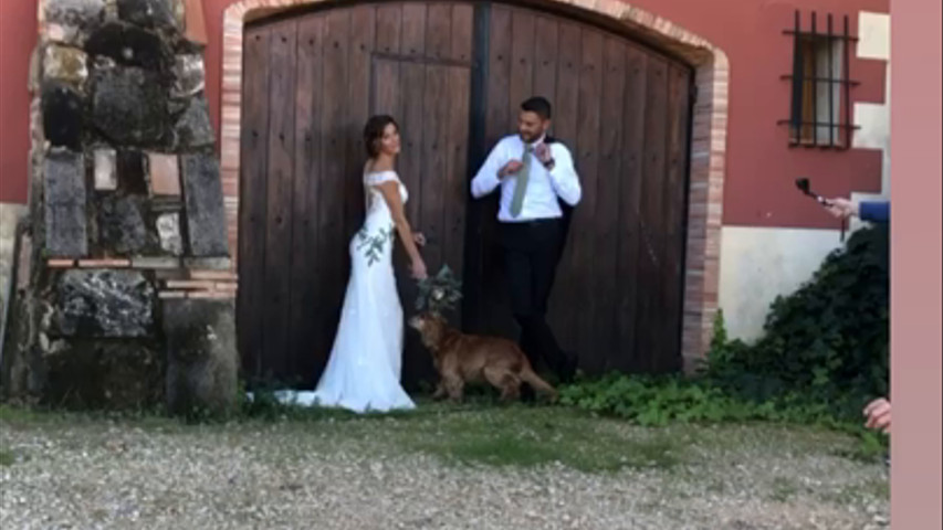Enlace de Maria & Braden  