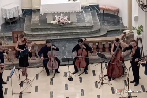 Orquesta de cuerdas