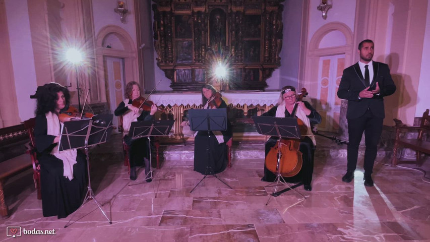 Cuarteto de cuerdas