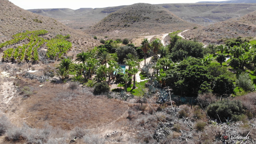 Cortijo La Almendra & El Gitano desde el aire2