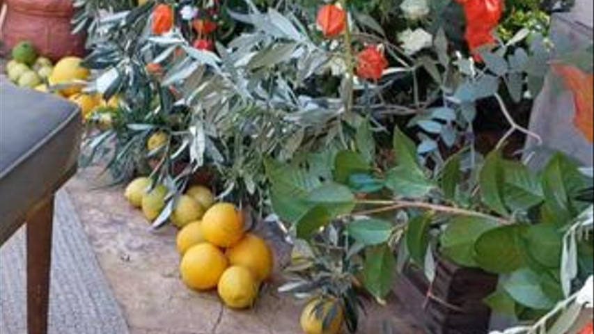 BODA MEDITERRÁNEA 