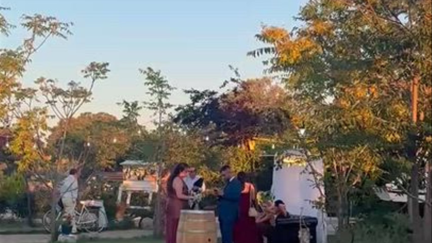 Boda L&P