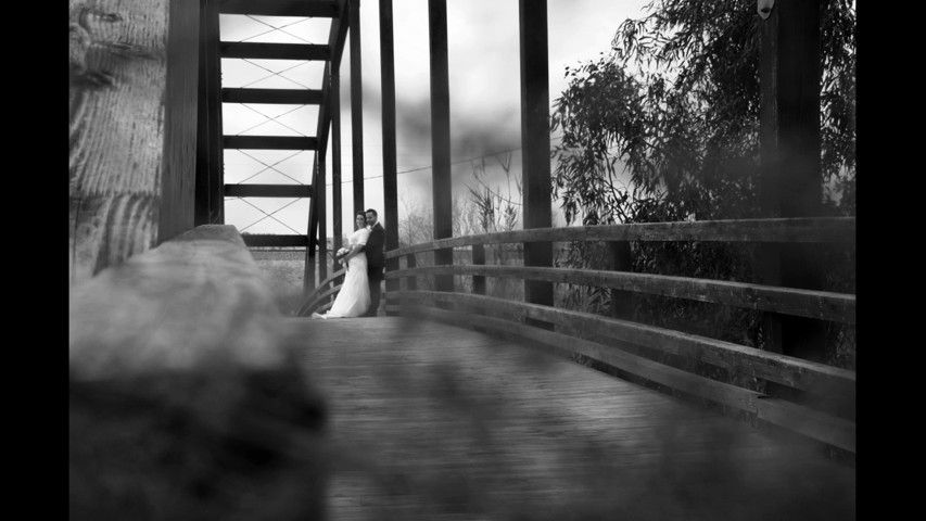 Fotos de  varias bodas realizadas