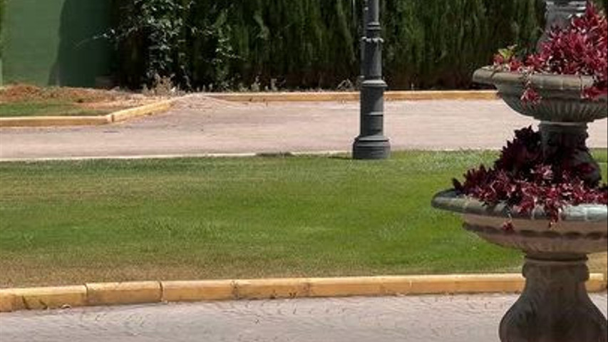 Nuestros jardines 