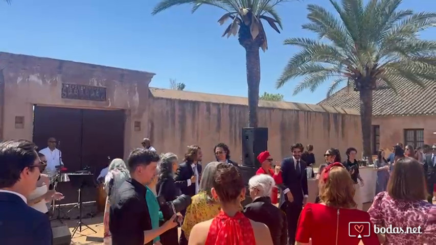Boda primavera 2025