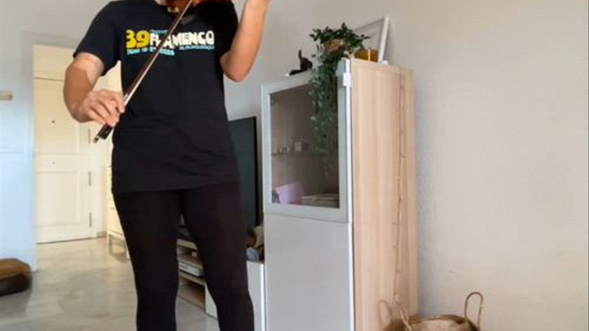 Graci al violin por Mayte Martin