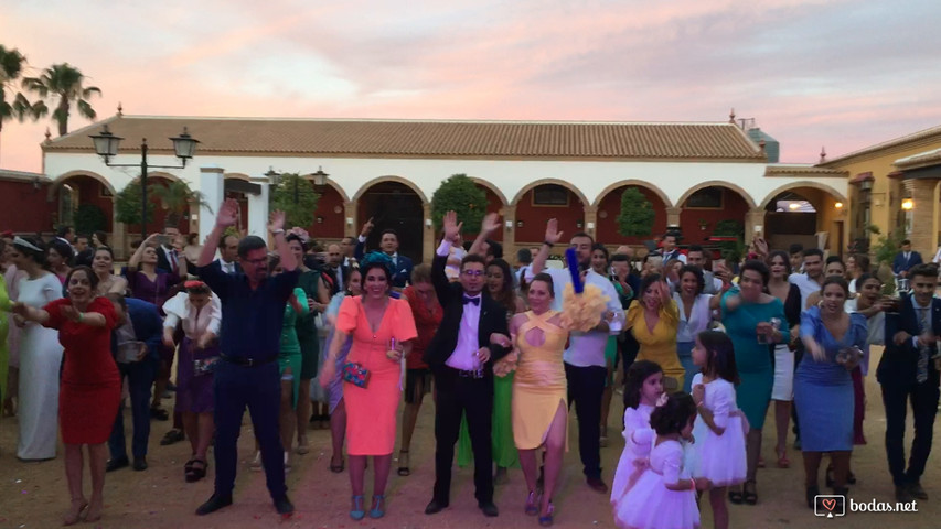 Boda Dehesa del Duque (Villarrasa) 