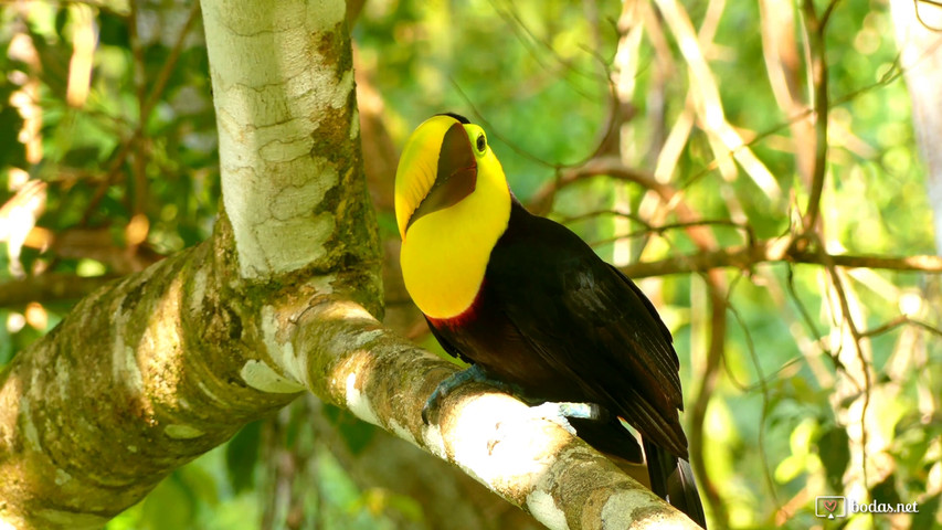 Costa Rica