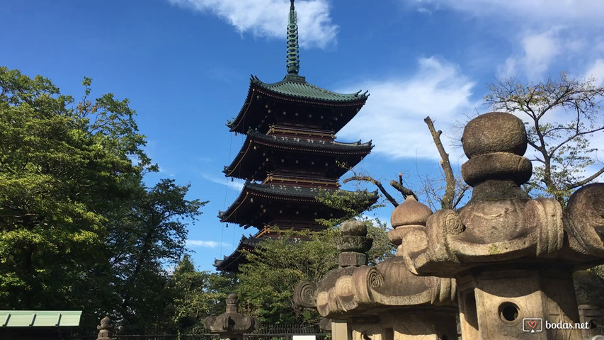 Japón, explora sus maravillas