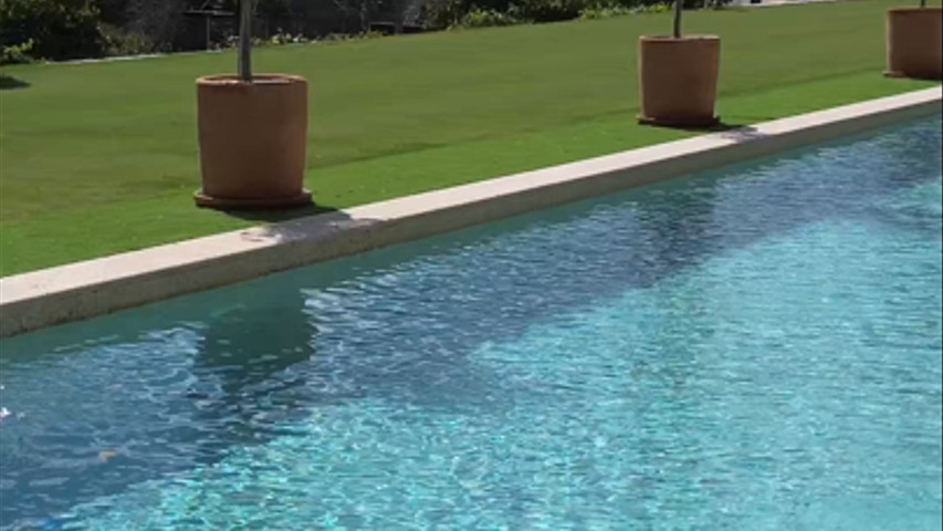 Hacienda Video vertical