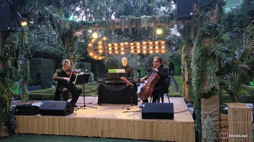 Música en el Cóctel