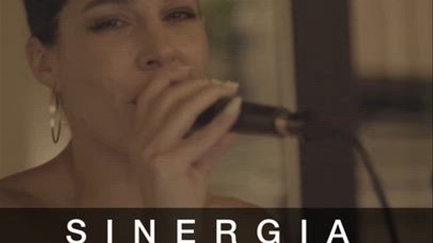 Sinergia (Resumen)