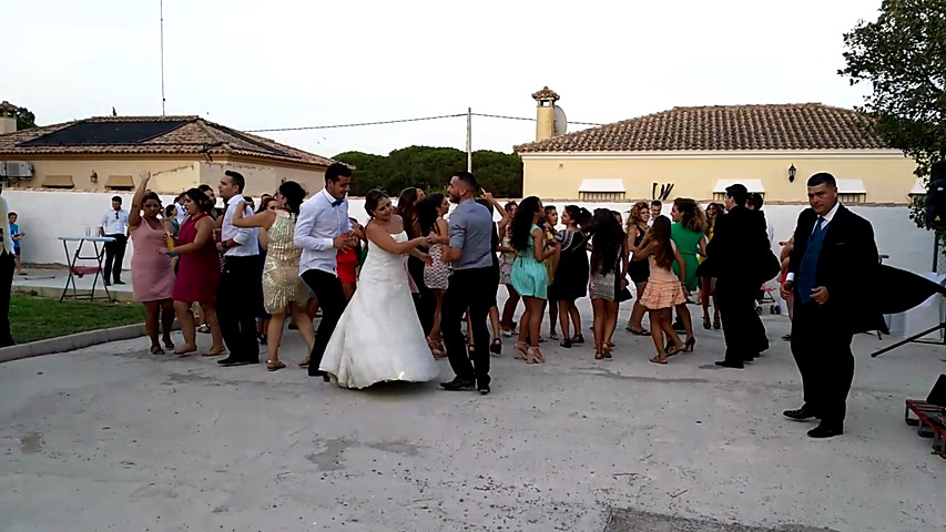 Animación para boda