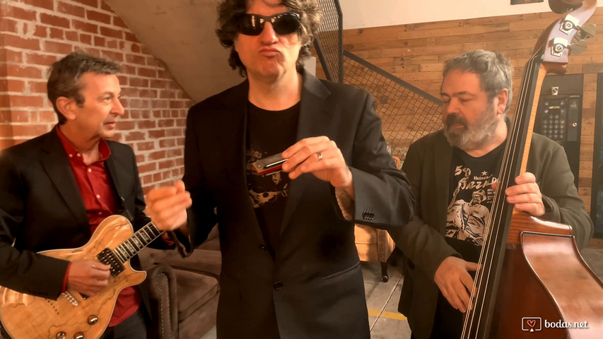 The Harp Blues Preachers