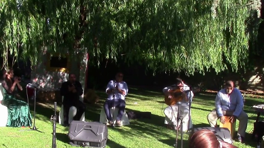 Son de Flamenco Boda en Hotel Amos de Escalante 