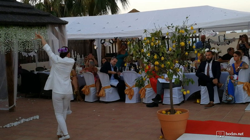 Boda María y Harry. 29-06-19