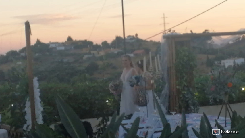 Entrada de las novias, un arrebato de amor