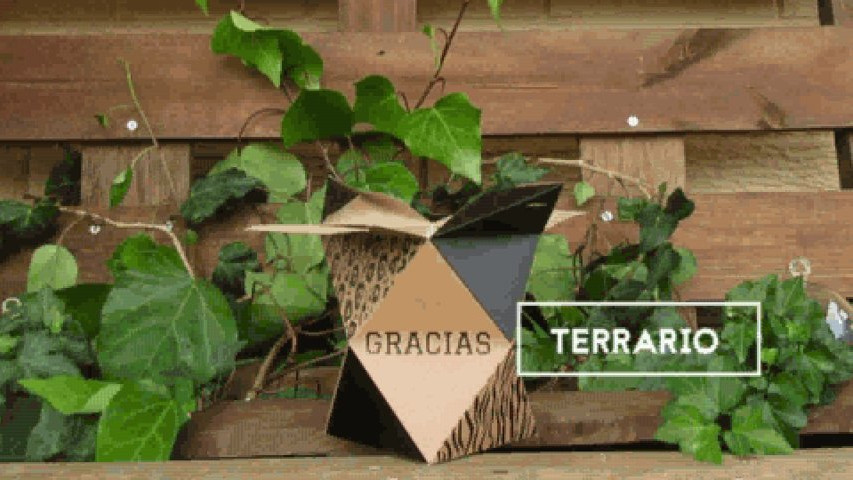 Ideas para tu detalle de boda
